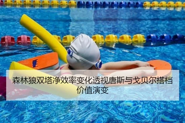 森林狼双塔净效率变化透视唐斯与戈贝尔搭档价值演变