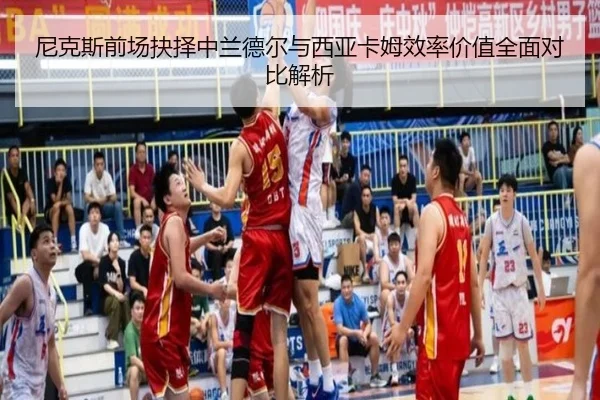 尼克斯前场抉择中兰德尔与西亚卡姆效率价值全面对比解析